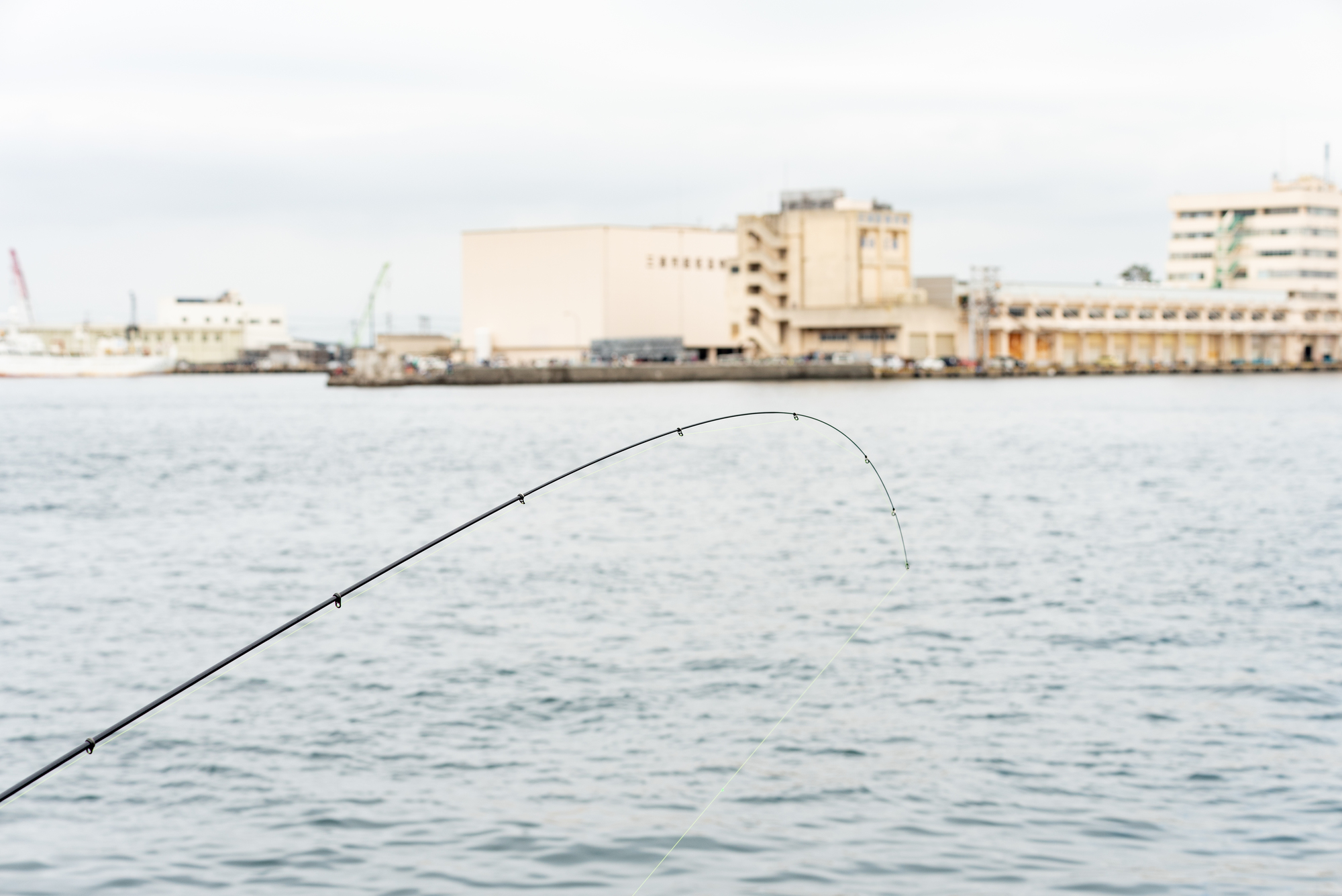 神奈川県で魚釣りができる場所はどこ おすすめの海釣り情報をご紹介 Tabica Life